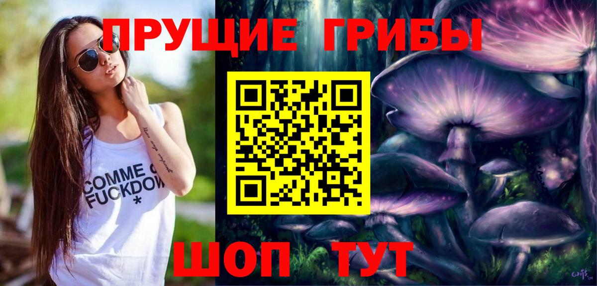 Псилоцибиновые грибы прущие грибы Петропавловск-Камчатский