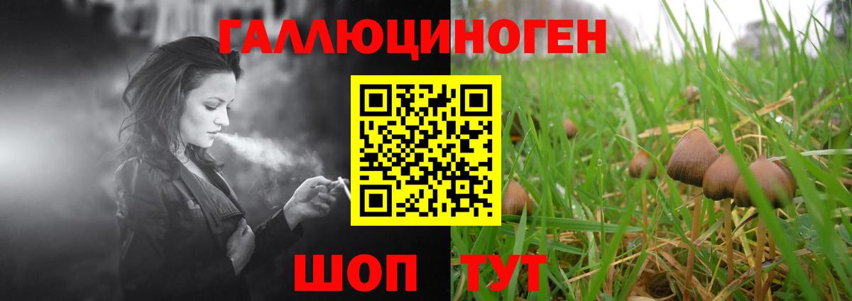 Галлюциногенные грибы Psilocybe  Вход с VPN  Петропавловск-Камчатский  Галлюциногенные грибы ЛСД 