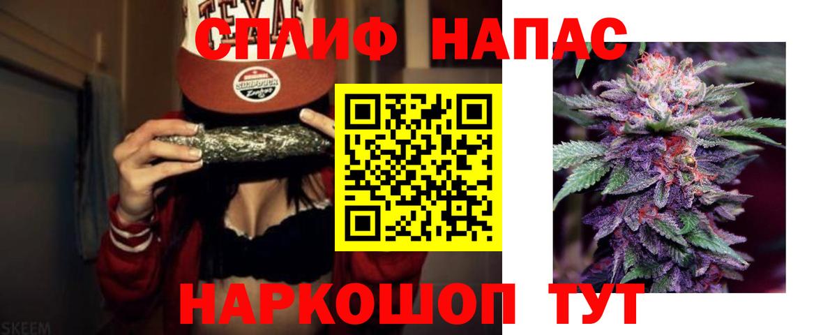 Конопля AK-47  Вход с VPN  Бошки марихуана сатива  Петропавловск-Камчатский  Бошки Шишки VHQ  Бошки Шишки план 